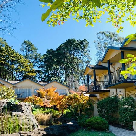 Falls Mountain Retreat Blue Mountains Wentworth Falls Buitenkant foto